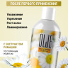 OLJE Натуральный шампунь для всех типов волос с ромашкой уход и восстановление 1000 мл в Тюмени